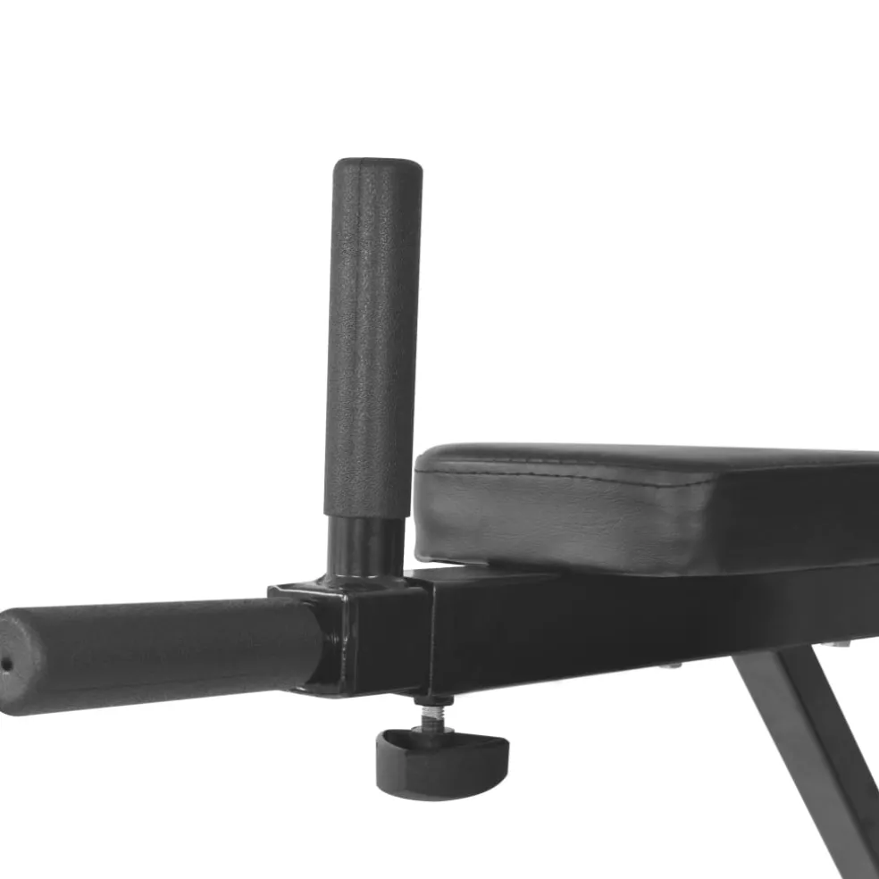 vidaXL Dipstation fitnessapparaat wandgemonteerd zwart