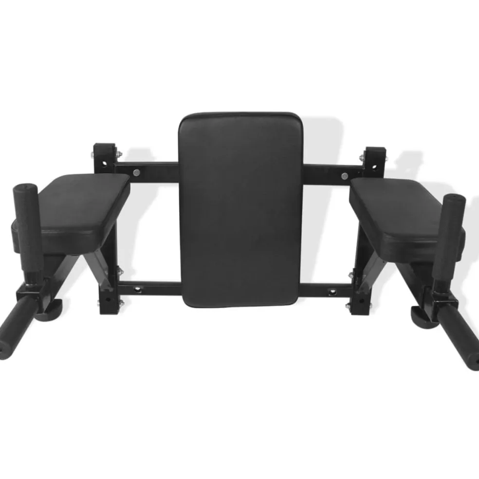 vidaXL Dipstation fitnessapparaat wandgemonteerd zwart