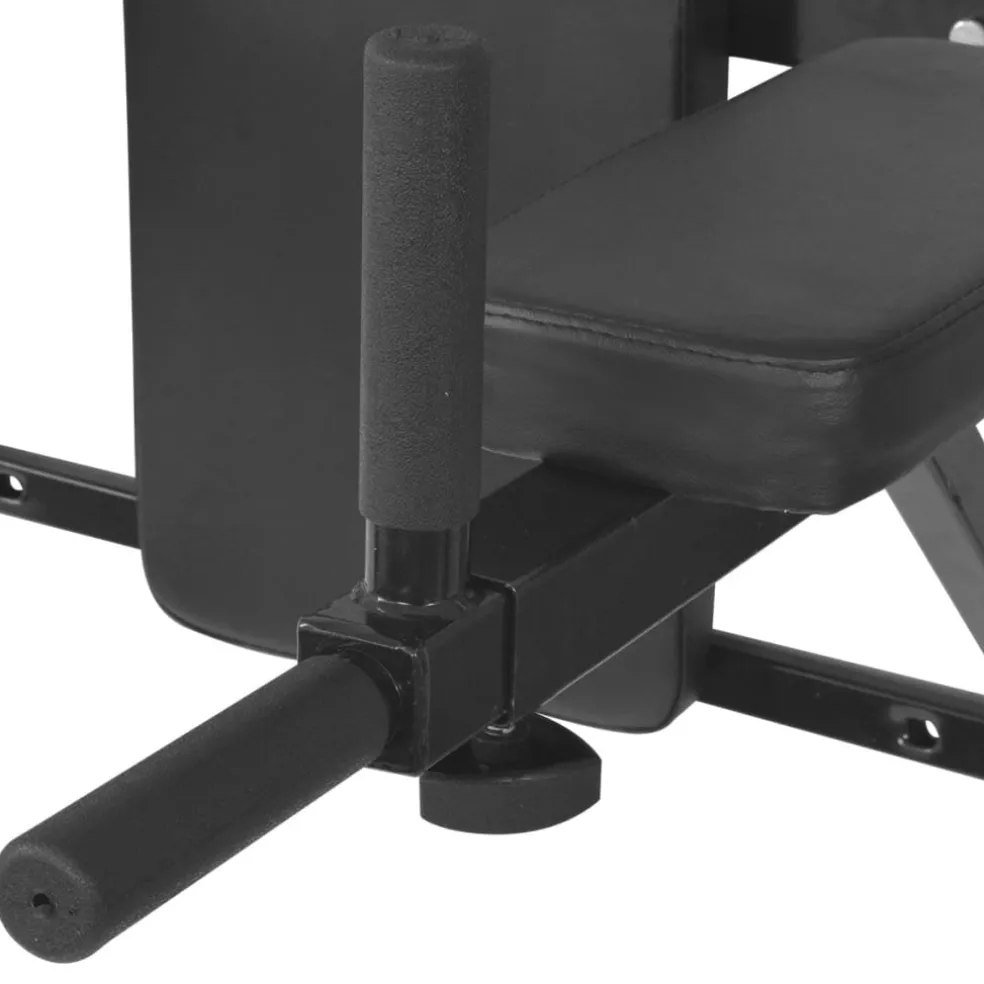 vidaXL Dipstation fitnessapparaat wandgemonteerd zwart