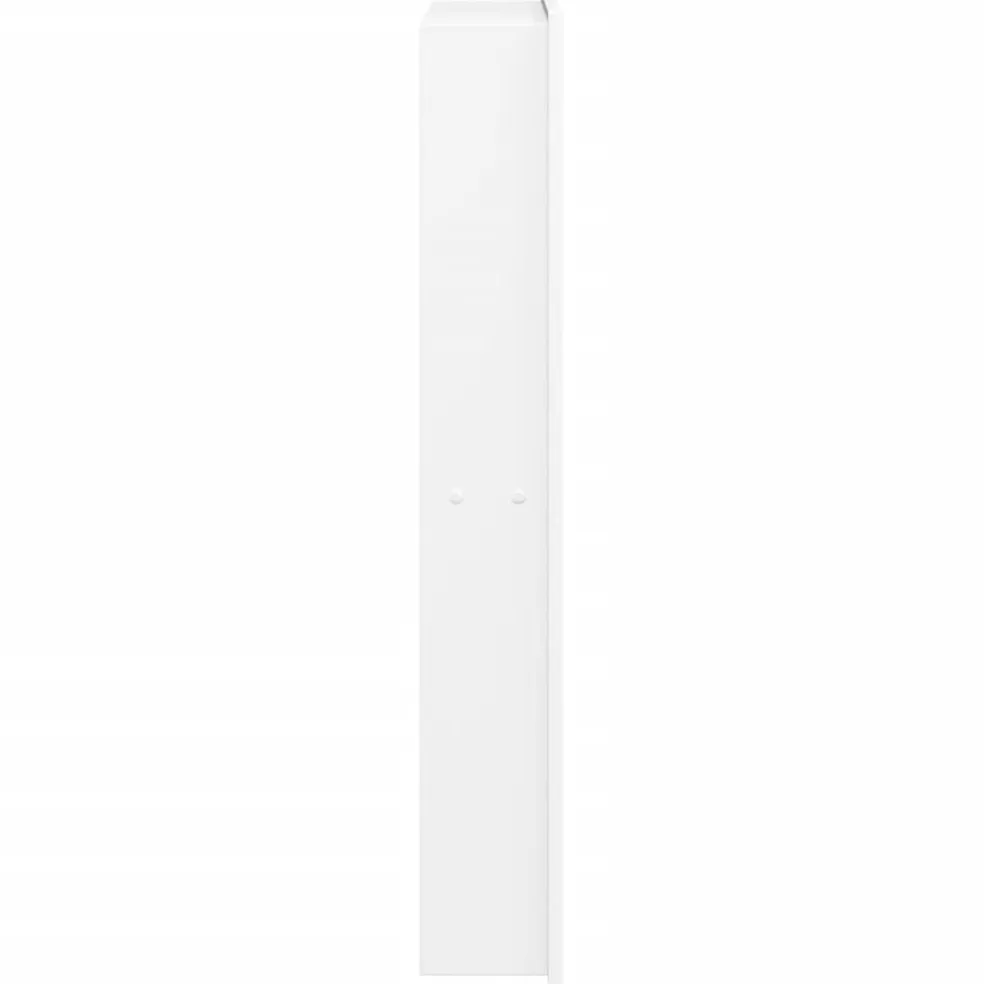 vidaXL Douchenis 32x62x9 cm roestvrijstaal matwit