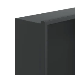 vidaXL Douchenis 32x62x9 cm roestvrijstaal matzwart