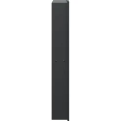 vidaXL Douchenis 32x62x9 cm roestvrijstaal matzwart