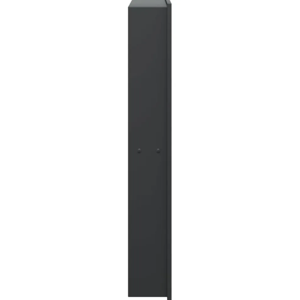 vidaXL Douchenis 32x62x9 cm roestvrijstaal matzwart