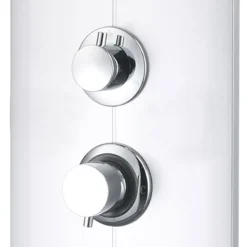 vidaXL Douchepaneel 25x43x110 cm zilverkleurig