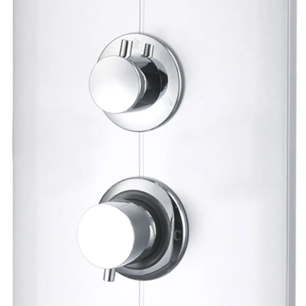 vidaXL Douchepaneel 25x43x110 cm zilverkleurig