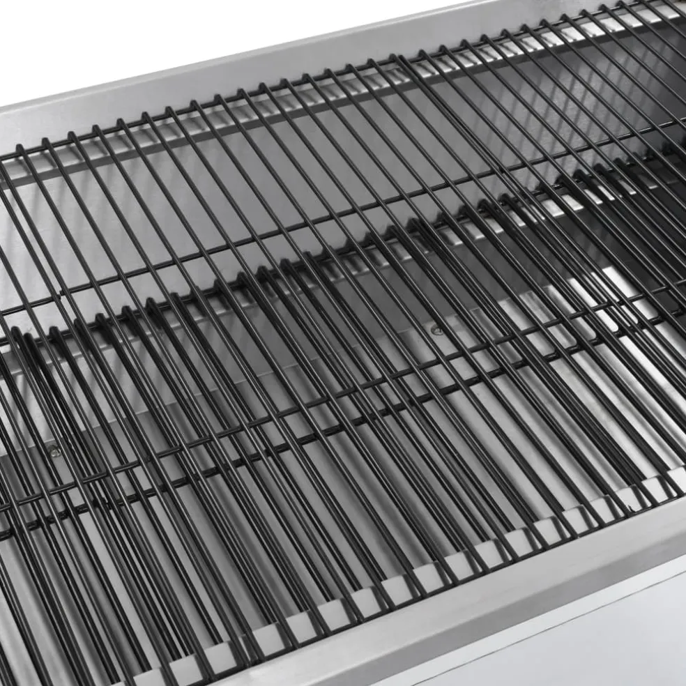 vidaXL Draaispit barbecue met elektrische motor