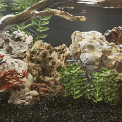 vidaXL Drakenstenen gemende kleur 10 kg 10-30 cm