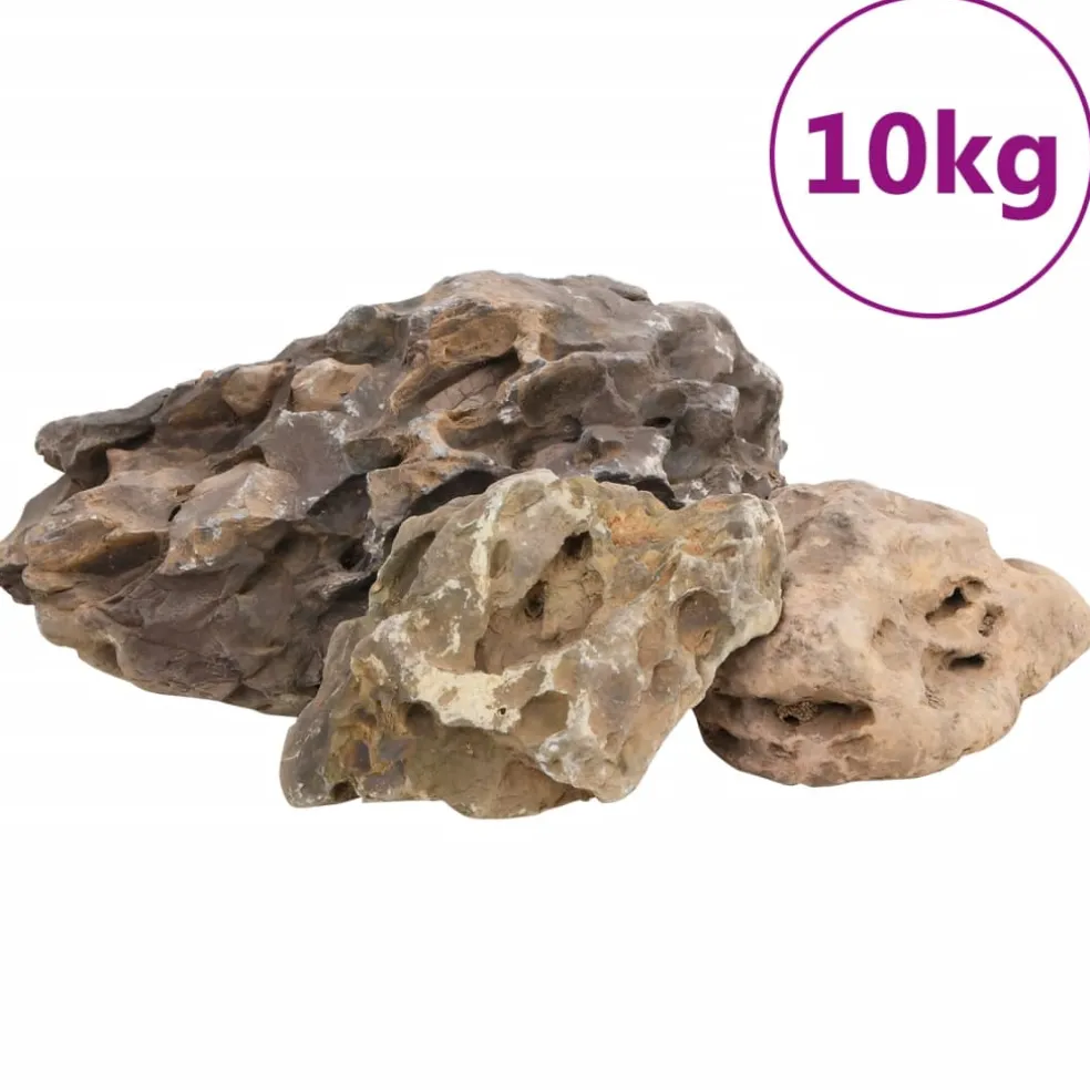 vidaXL Drakenstenen 10 kg 10-40 cm grijs