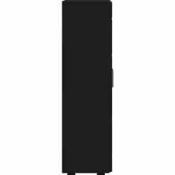 vidaXL Dressoir FLORIN 55,5 x 29 x 100 cm Zwart Bewerkt hout