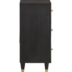 vidaXL Dressoir met lade Zwart 40 x 33 x 75 cm Massief Mango Hout