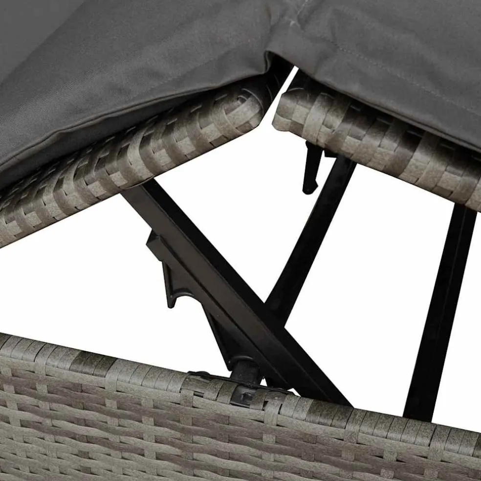 vidaXL Dubbele ligbed Grijs poly rattan