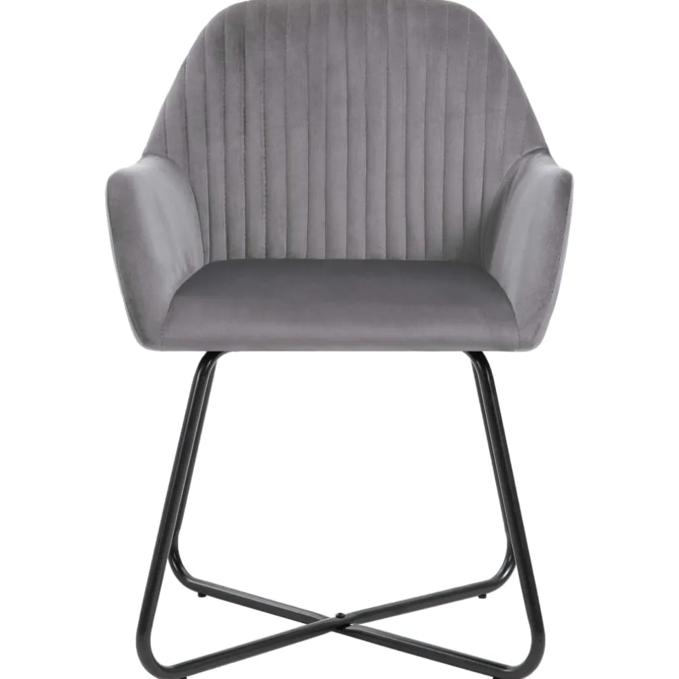 vidaXL Eetkamerstoelen 2 st fluweel grijs