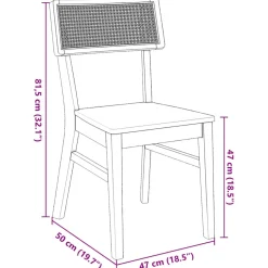 vidaXL Eetkamerstoelen 2 st massief hout rubber