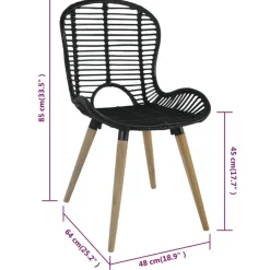 vidaXL Eetkamerstoelen 2 st natuurlijk rattan zwart