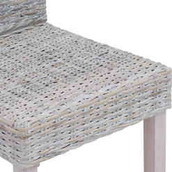 vidaXL Eetkamerstoel GENDT 2 st Kubu Rattan en Massief Mahoniehout