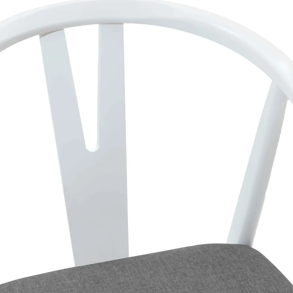 vidaXL Eetkamerstoel 2 st Massief Rubberhout Wit en Grijs
