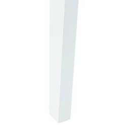 vidaXL Eettafelstoelen 2 st Massief Rubberhout Wit 42 x 47.5 x 81 cm
