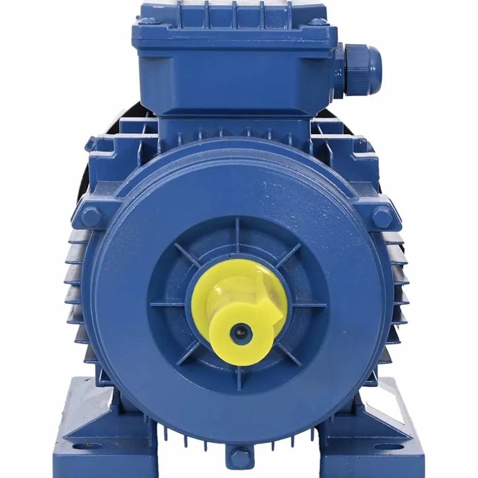 vidaXL Elektromotor 3 fase 1,5 kW/2 pk 2-polig 2840 rpm aluminium