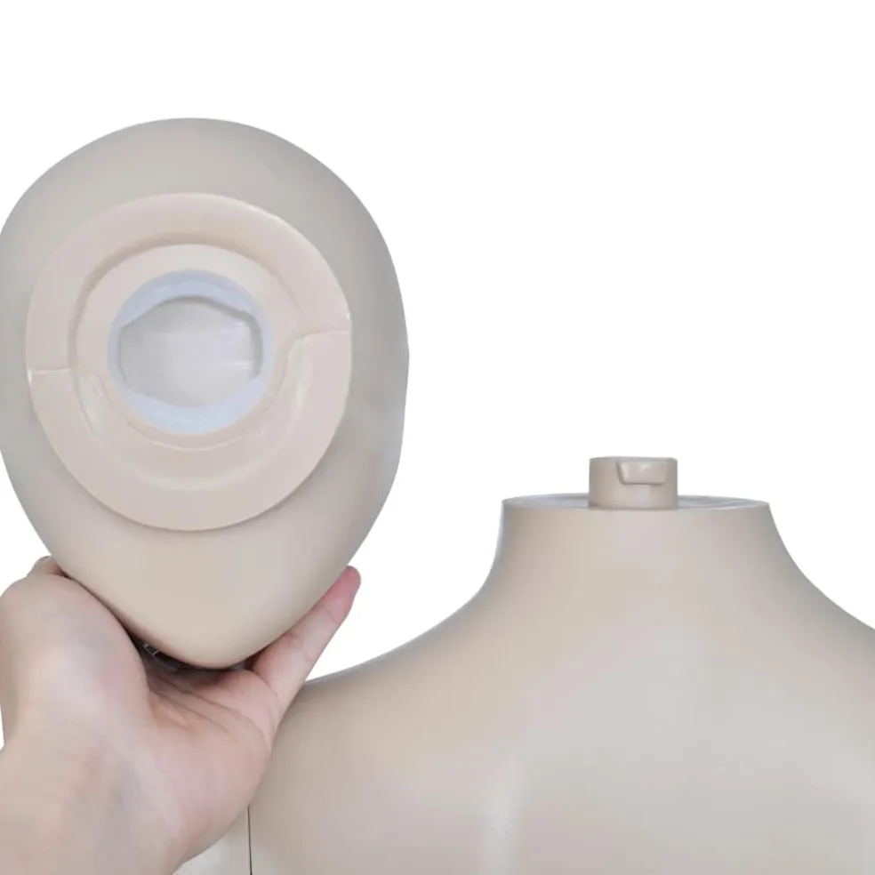 vidaXL Etalagepop vrouw rond hoofd