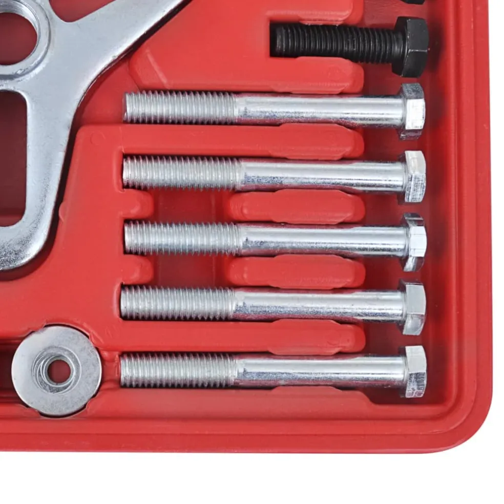vidaXL Evenwicht trekker set 45 stuks