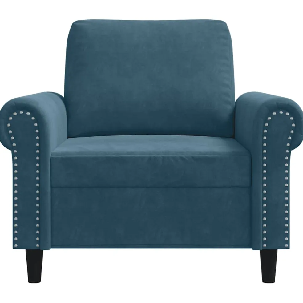 vidaXL Fauteuil 60 cm fluweel blauw
