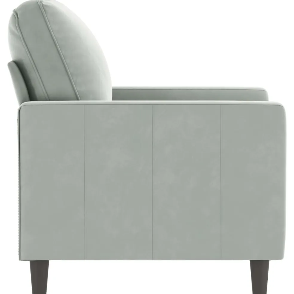 vidaXL Fauteuil 60 cm fluweel lichtgrijs