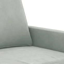 vidaXL Fauteuil 60 cm fluweel lichtgrijs