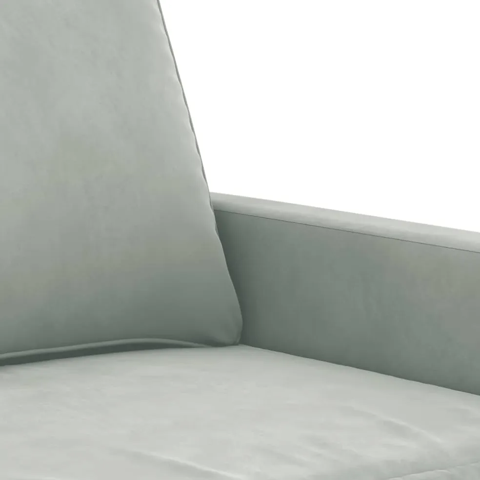 vidaXL Fauteuil 60 cm fluweel lichtgrijs