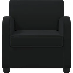 vidaXL Fauteuil Zwart fluweel