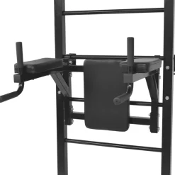 vidaXL Fitnessapparaat wandgemonteerd zwart
