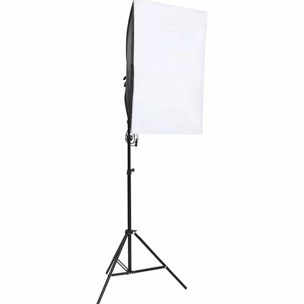 vidaXL Fotostudioset met verlichtingsset en achtergrond