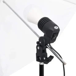 vidaXL Fotostudioset met verlichtingsset en achtergrond