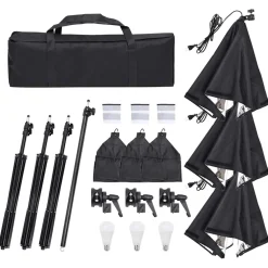 vidaXL Fotostudioset met verlichtingsset en achtergrond