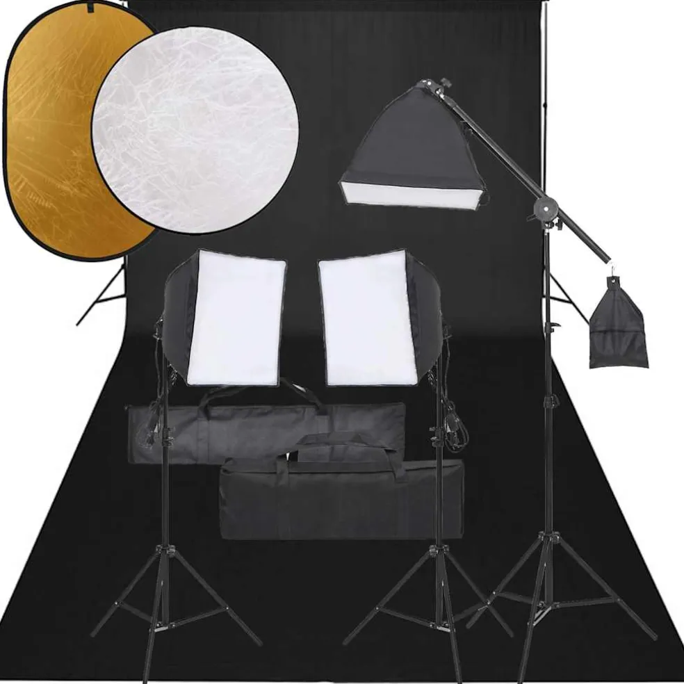 vidaXL Fotostudioset met verlichtingsset en achtergrond