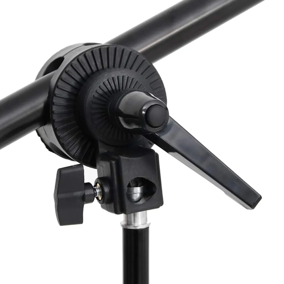 vidaXL Fotostudioset met verlichtingsset en achtergrond