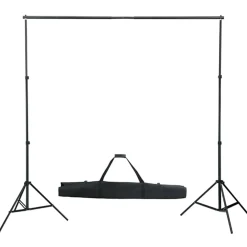 vidaXL Fotostudioset met verlichtingsset en achtergrond