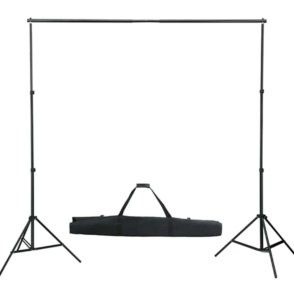 vidaXL Fotostudioset met verlichtingsset en achtergrond