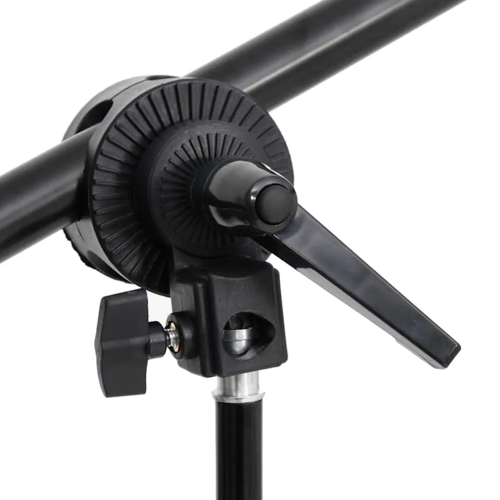 vidaXL Fotostudioset met verlichtingsset, achtergrond en reflector