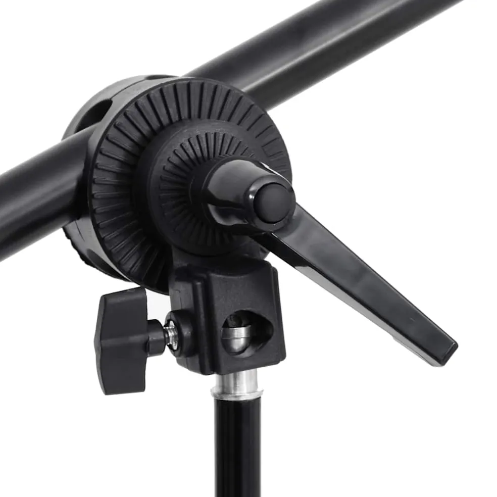 vidaXL Fotostudioset met verlichtingsset, achtergrond en reflector