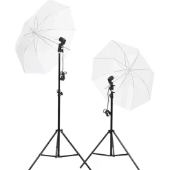 vidaXL Fotostudioset met verlichtingsset en achtergrond
