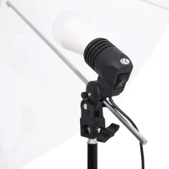 vidaXL Fotostudioset met verlichtingsset, achtergrond en reflector