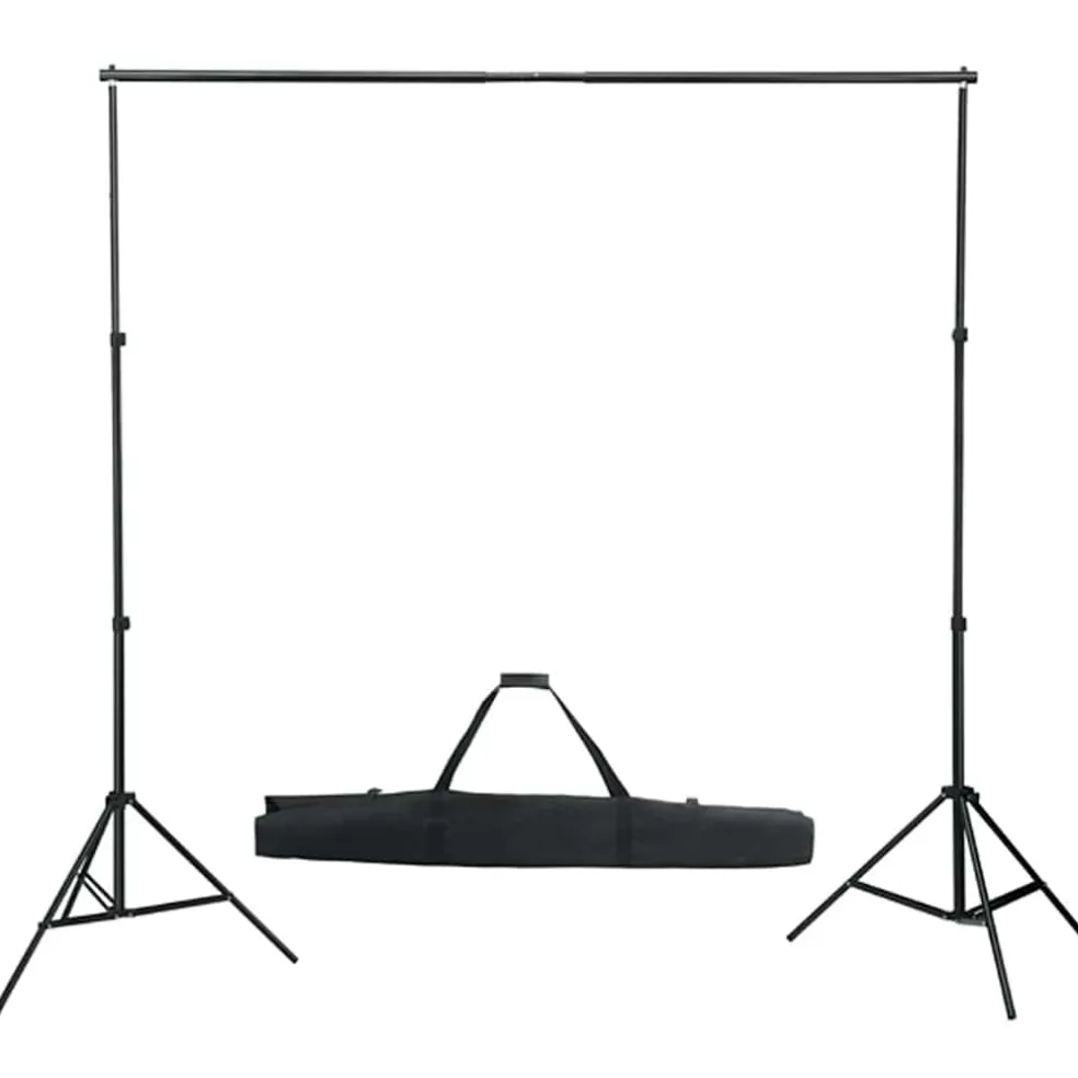 vidaXL Fotostudioset met verlichtingsset en achtergrond