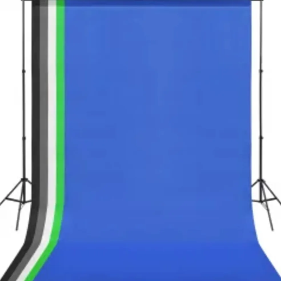 vidaXL Fotostudioset met verlichtingsset en achtergrond