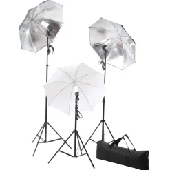 vidaXL Fotostudioset met verlichtingsset en achtergrond