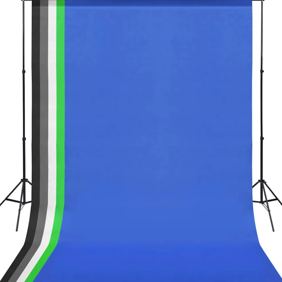vidaXL Fotostudio verlichtingsset