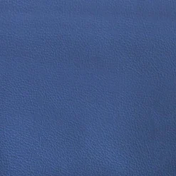 vidaXL Gamestoel kunstleer zwart en blauw