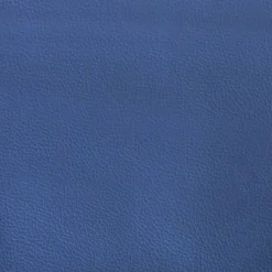 vidaXL Gamestoel kunstleer zwart en blauw