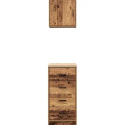 vidaXL Garagekasten 2 st bewerkt hout oud hout