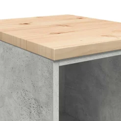 vidaXL Garagekasten 2 st bewerkt hout betongrijs