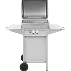vidaXL Gasbarbecue en grill met 2 kookzones roestvrij staal zilver